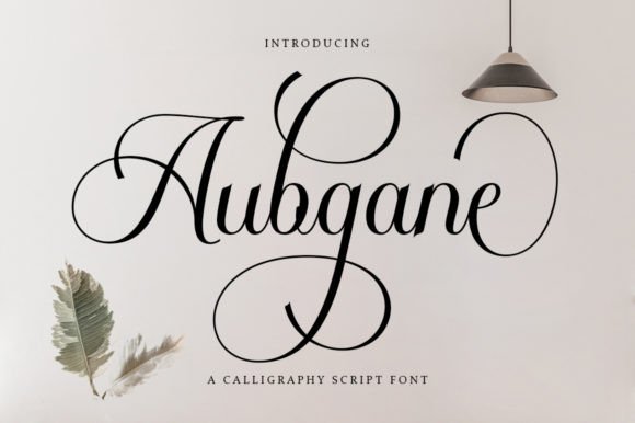 Aubgane: A Designer’s Real-World Review for Branding and Visual Projects