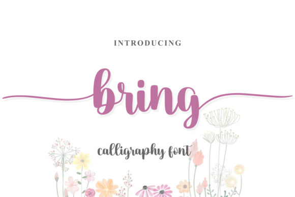 Bring: The Handwritten Font That Elevates Campaign Visuals