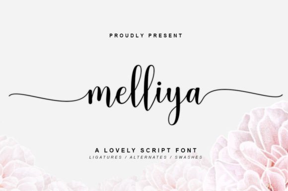 Melliya: A Designer’s Take on Real-World Use