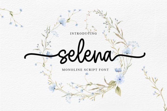 Selena: The Script Font That Elevates Campaign Visuals with Style and Clarity