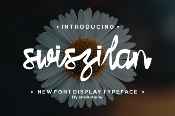 Swiszilan: A Handwritten Font That Elevates Craft and Product Design