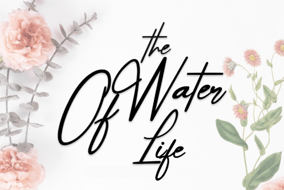 The Water of Life: A Whimsical Font for Thoughtful Editorial Design