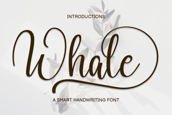 Whale Font Review: A Sweet Handwritten Typeface for Branding Projects